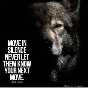 Meet your Posher, Arnaldo